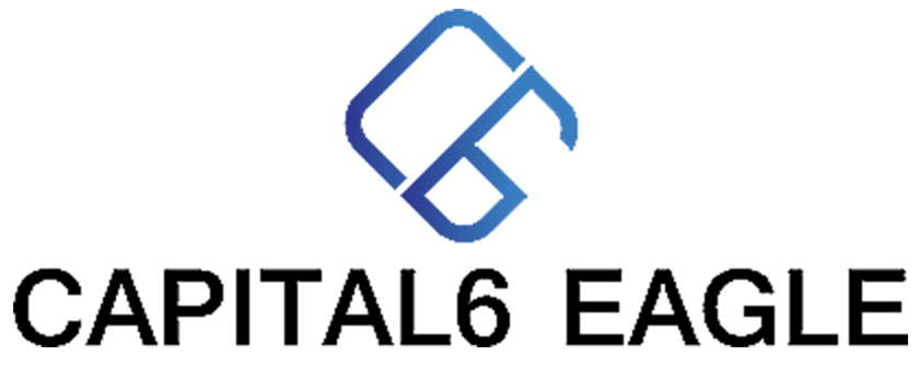 Capital6 Eagle | Lead investor Capital6 Eagle | Lead investor
