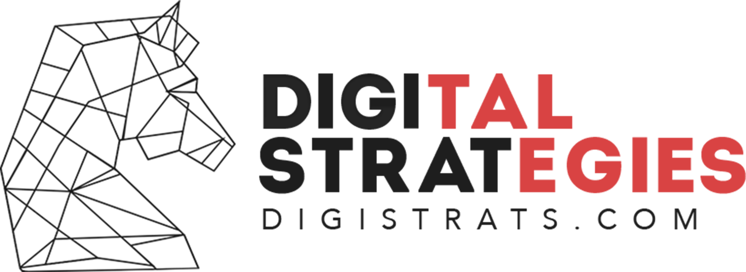 Digital Strategies | Lead investor Digital Strategies | Lead investor