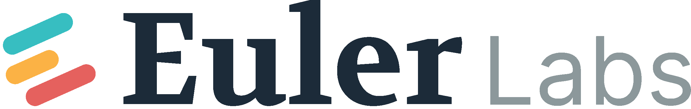 Euler Labs | Lead investor Euler Labs | Lead investor