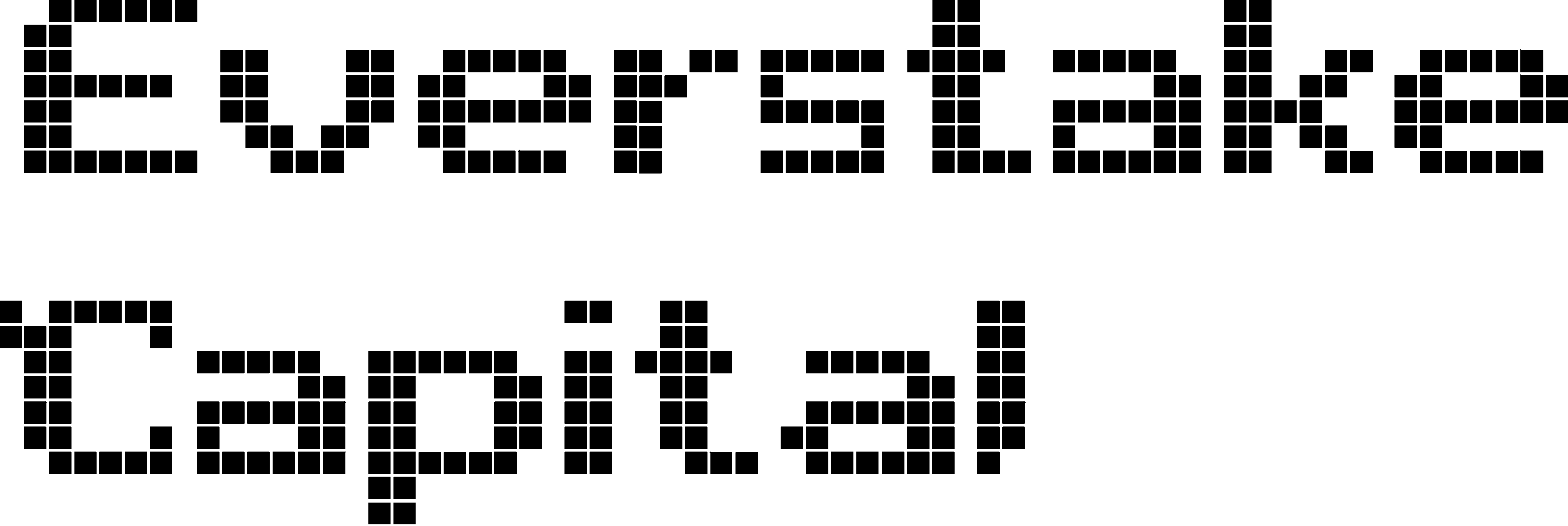 Everstake Capital