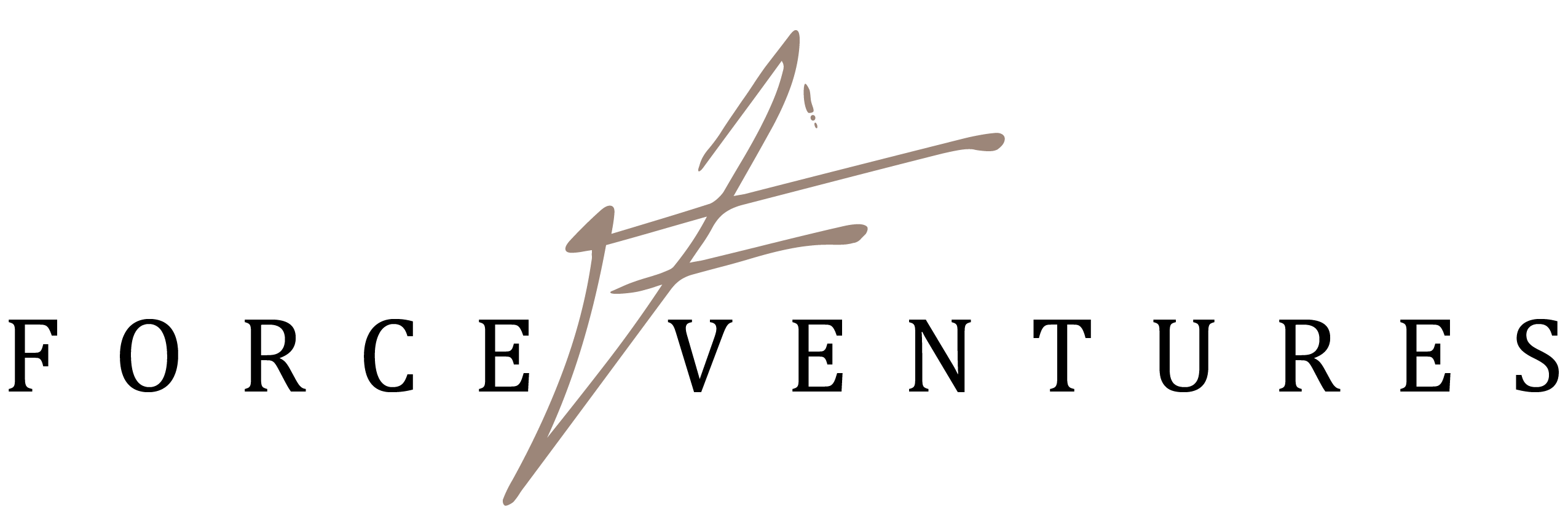 Force Ventures