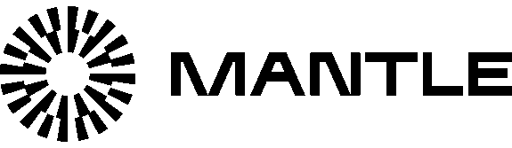 Mantle Network | Lead investor Mantle Network | Lead investor