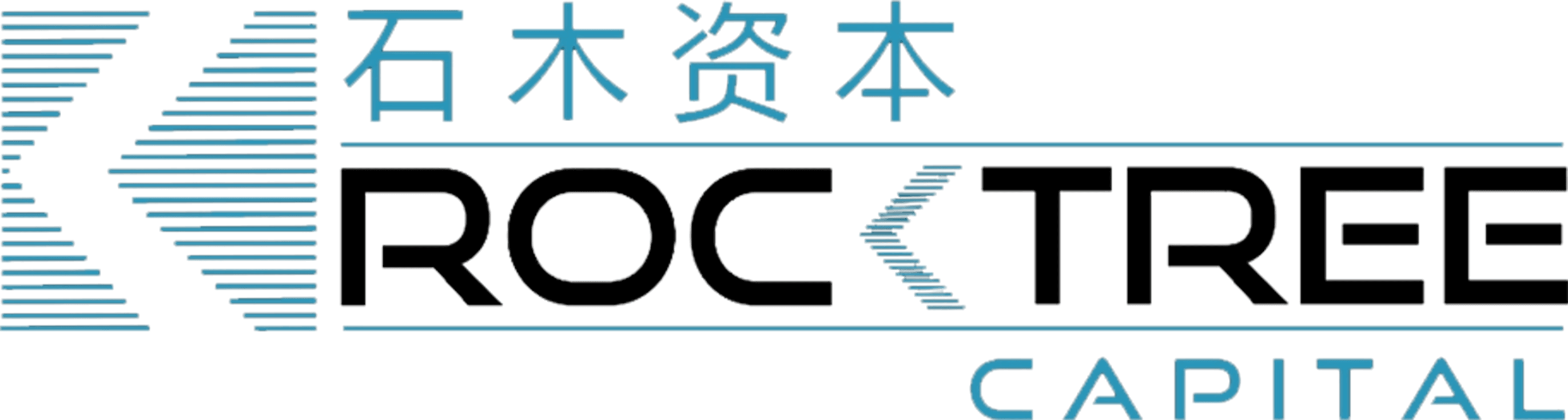 RockTree Capital | Lead investor RockTree Capital | Lead investor