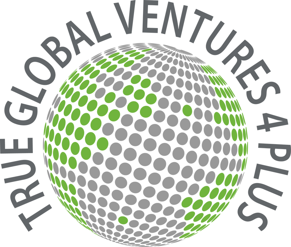 True Global Ventures | Lead investor