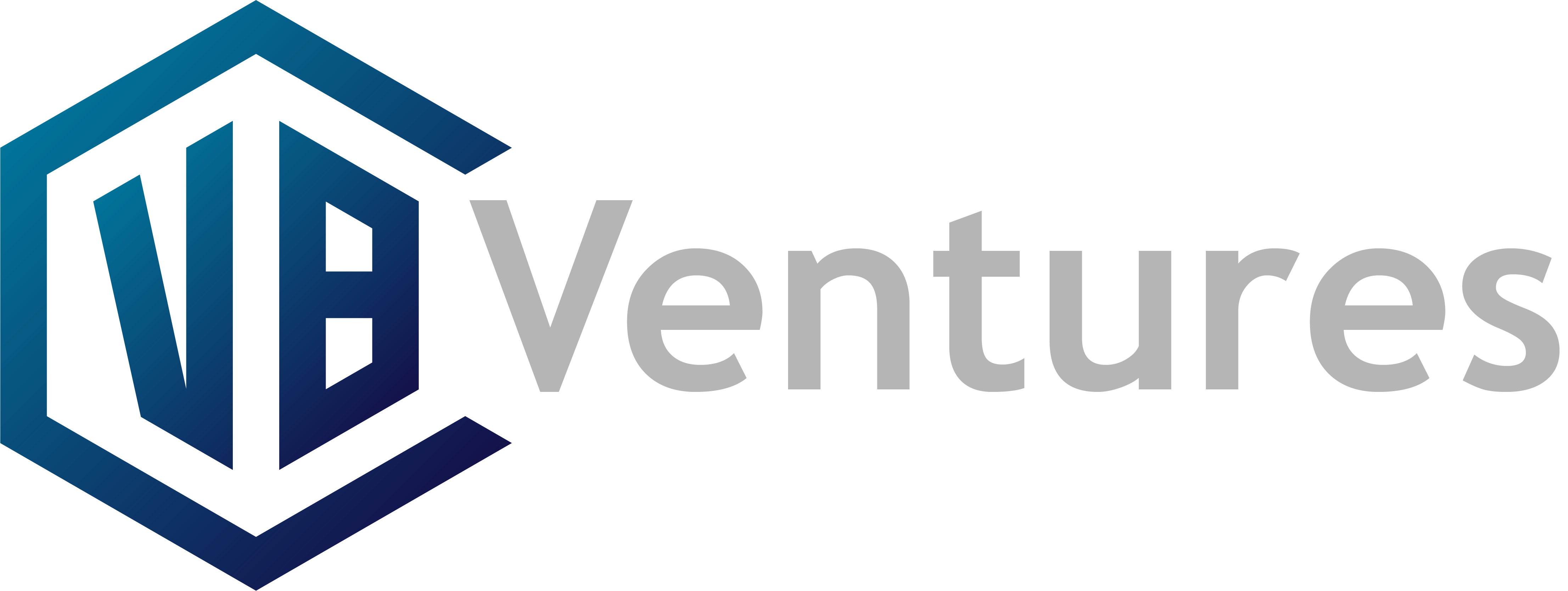 VBC Ventures VBC Ventures